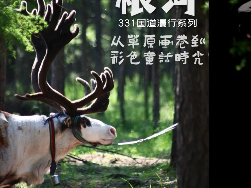 根河│驯鹿踏碎晨雾，鼓声撞响林海